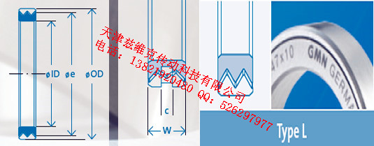 GMNL65X80X10油封圖紙